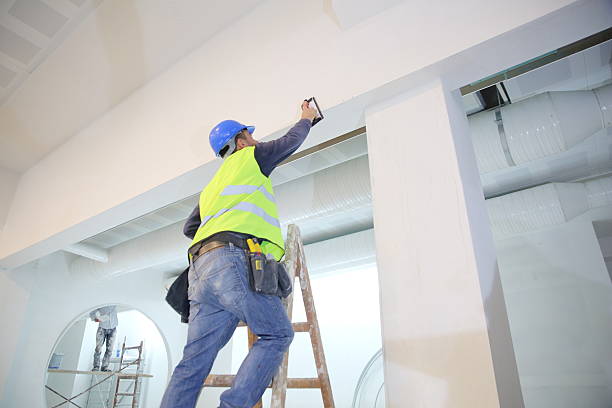 Best Drywall Removal and Disposal  in Paramount Long Meadow, MD